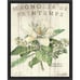 Magnolia de Printemps by Sue Schlabach Canvas Framed Art