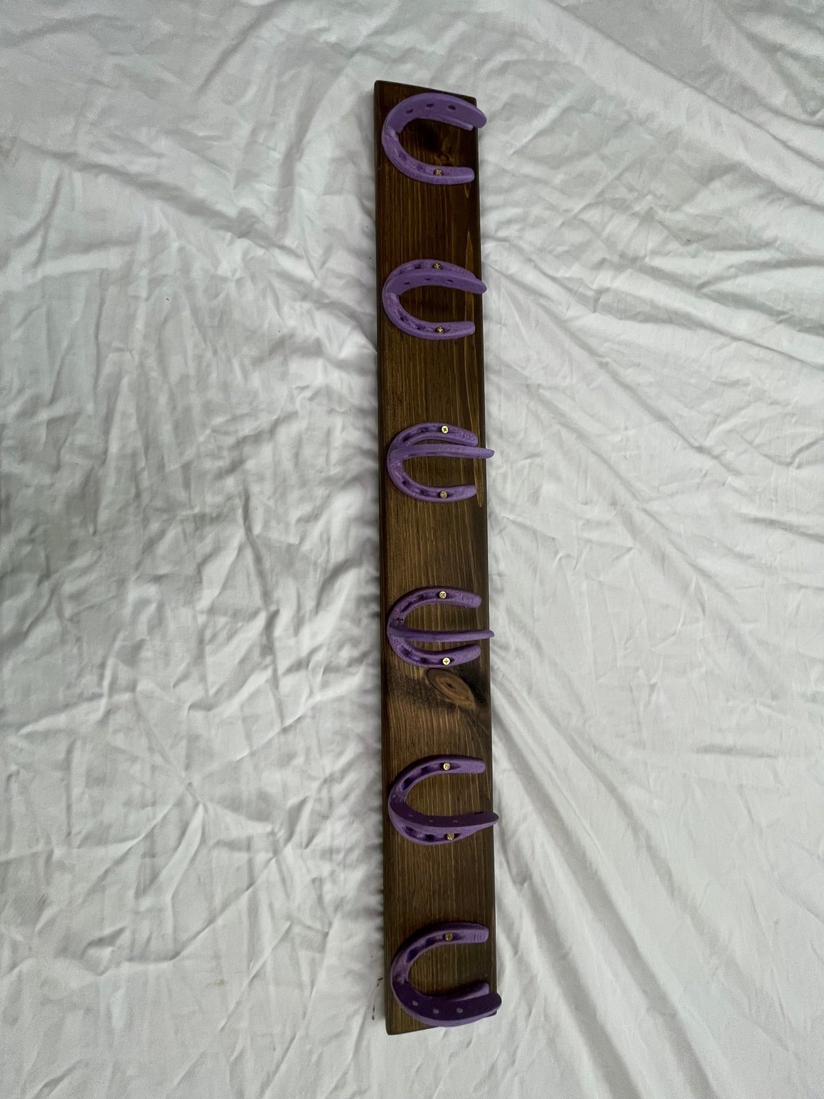 Horseshoe coat rack