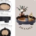 Decorative Tray Coffee Table Tray Round 12 Inch Black