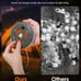 Camping String Lights, 2 in 1 Outdoor String Lights with 8 Lighting Modes