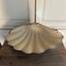 Julia Knight Clam Shell Bowl 17.5