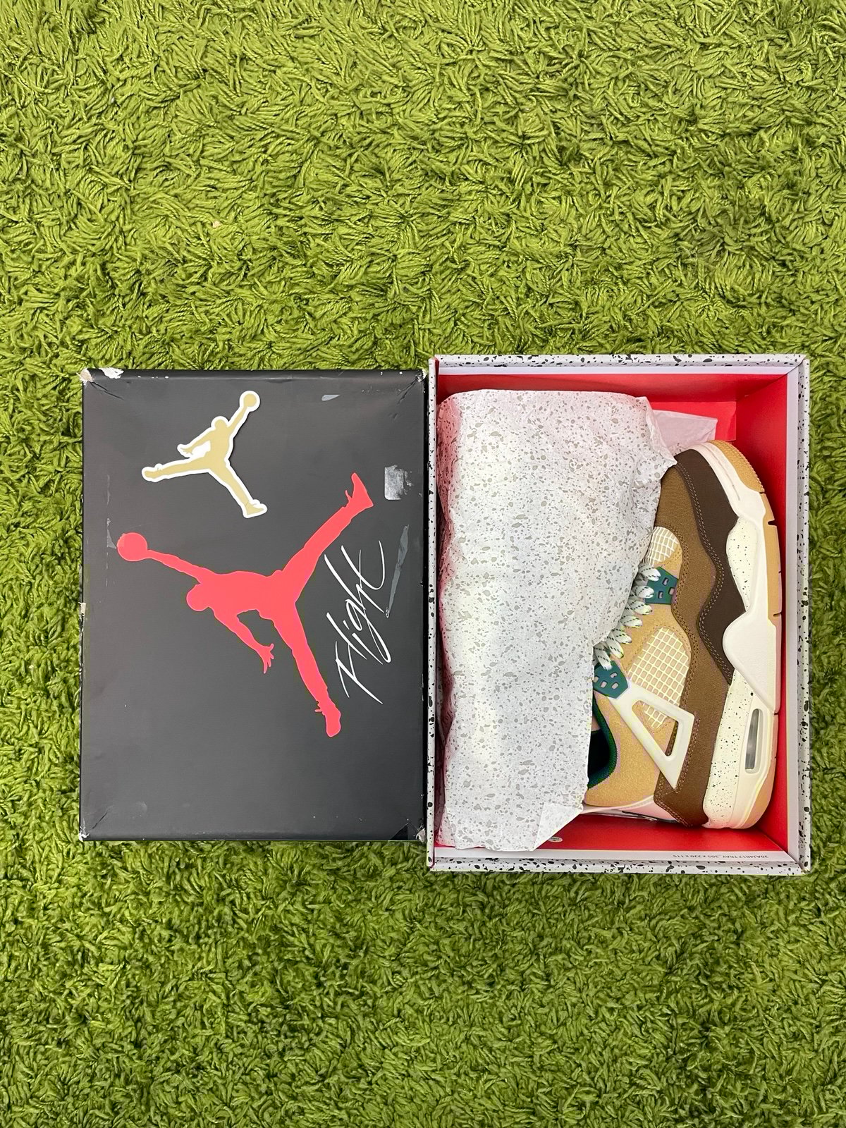 Air Jordan 4