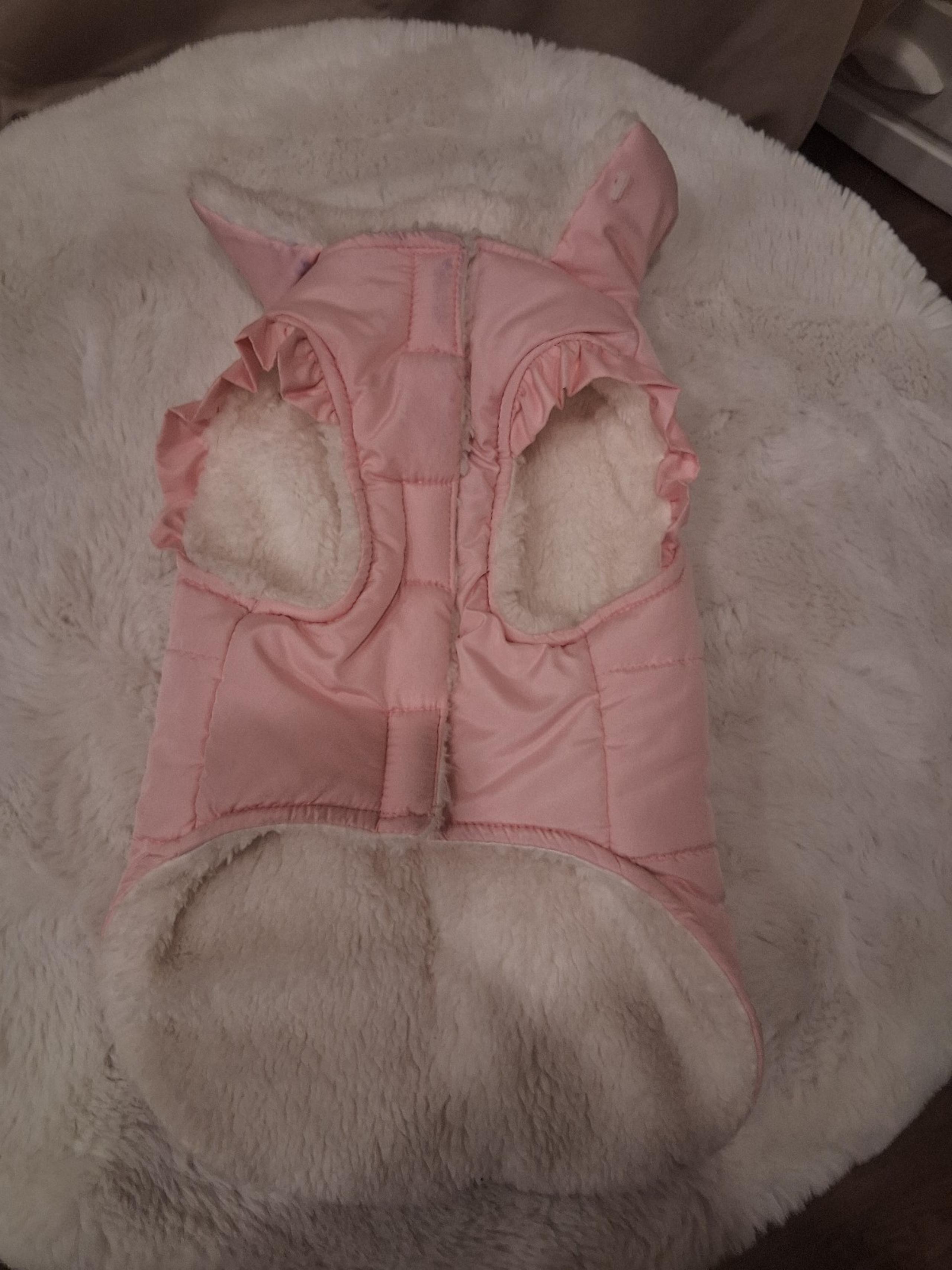 Friends forever dog coat size M
