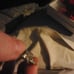 Camo Wedding and engagement ring