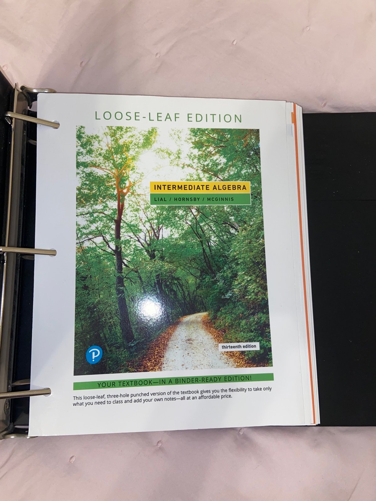 Person Loose leaf intermediate algebra
