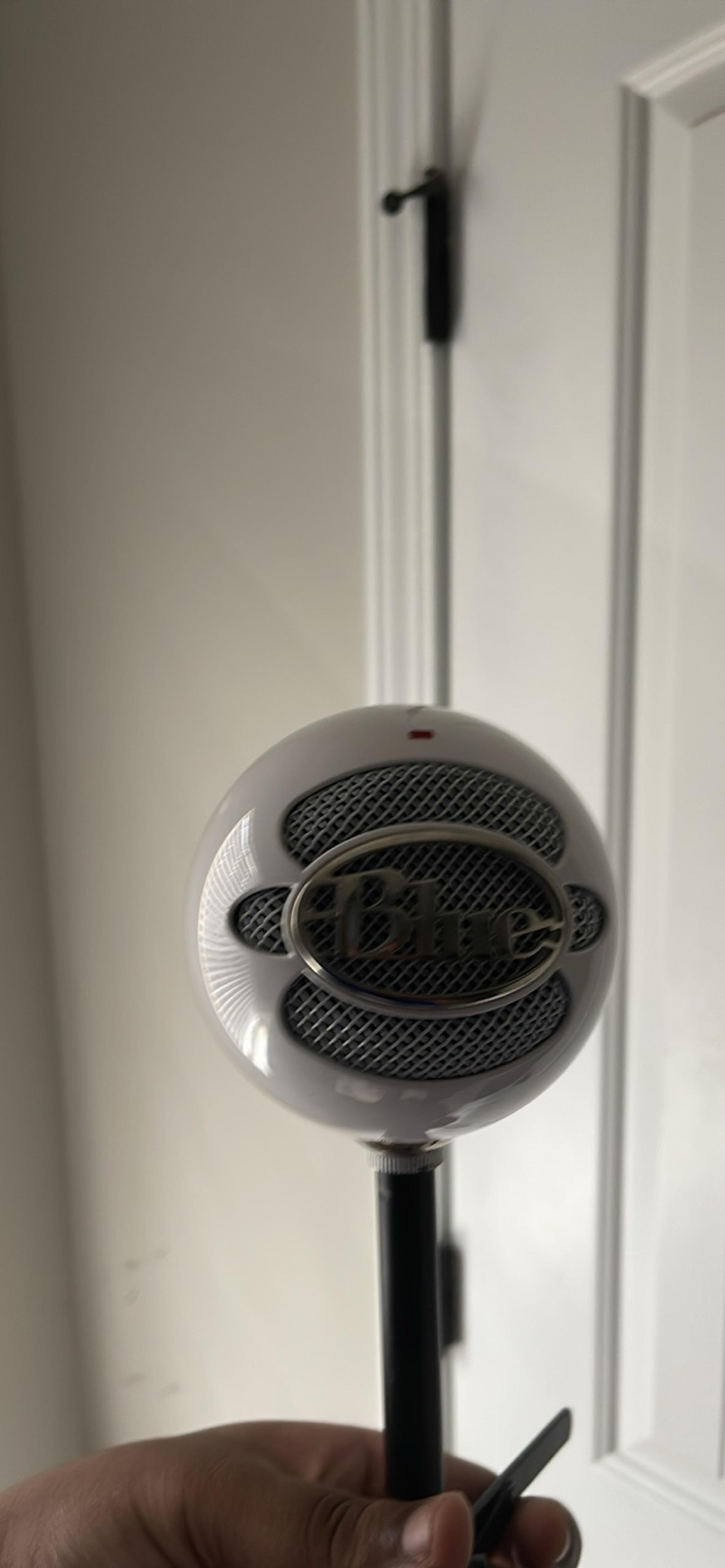 Blue Snowball