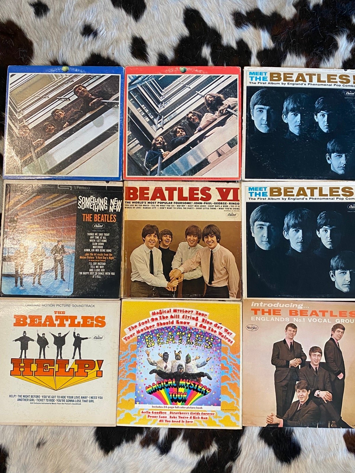 The Beatles Vinyl Records