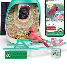 Bird Feeder with Camera | AI Recognition