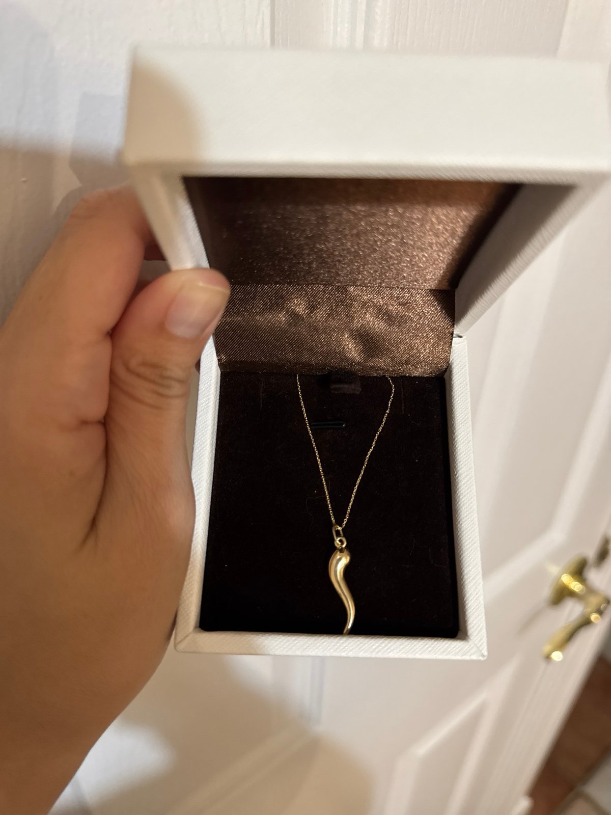 Solid Real 14k Gold Italian solid Real 14k Gold Italian Horn Pendant and Chain