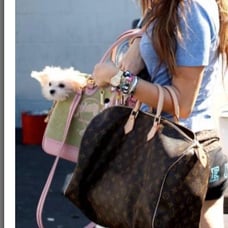 Y2k Juicy Couture dog carrier bag or can be used as a regular bag