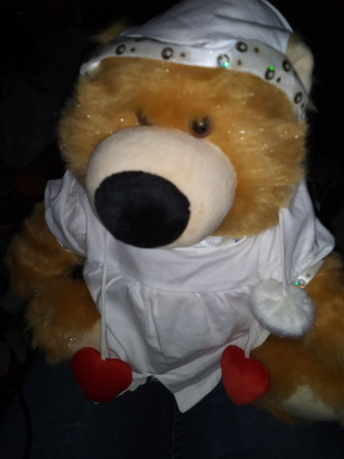 Mila Singing Dream Bear