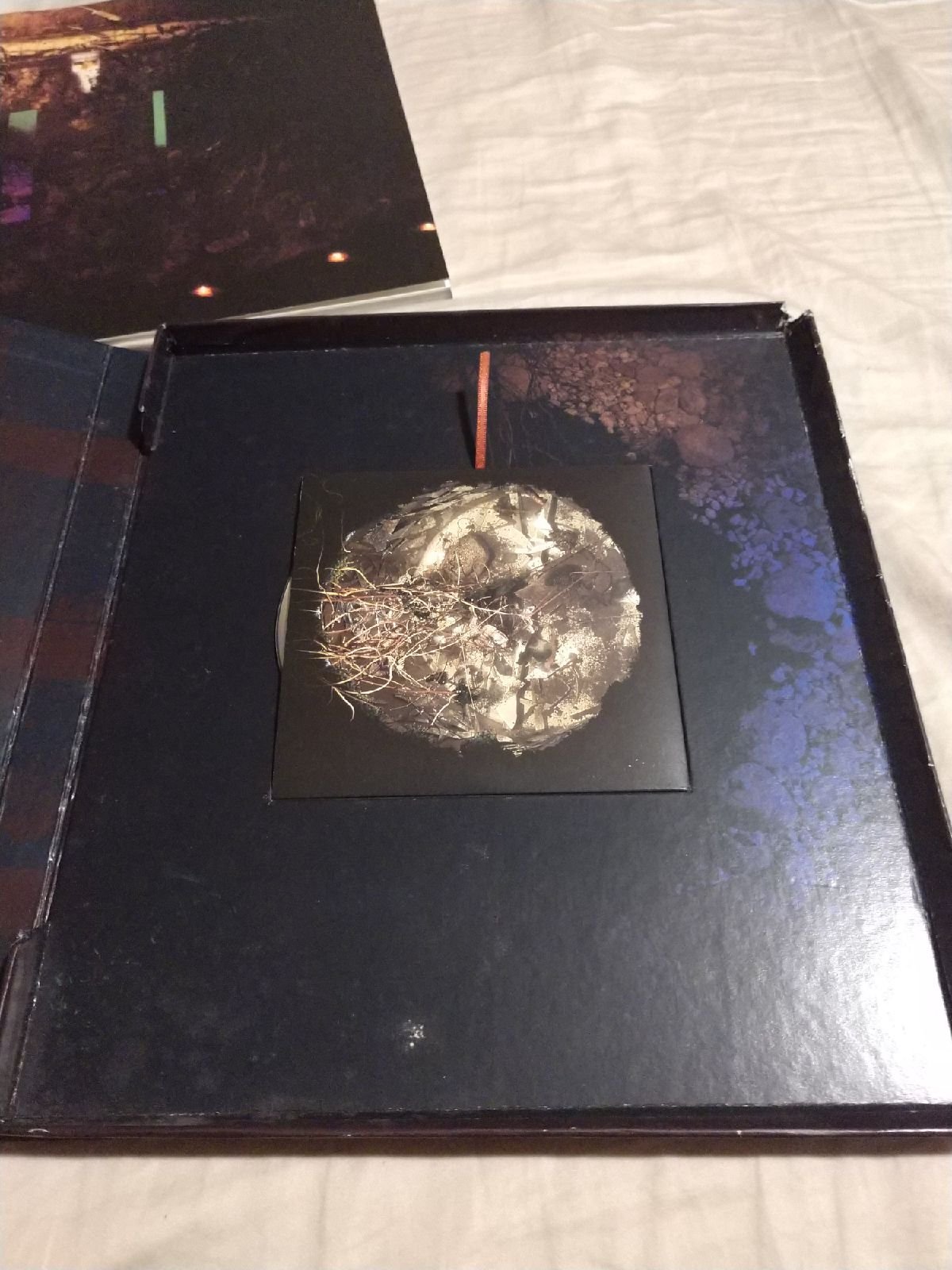 David Sylvian & Russell Mills's