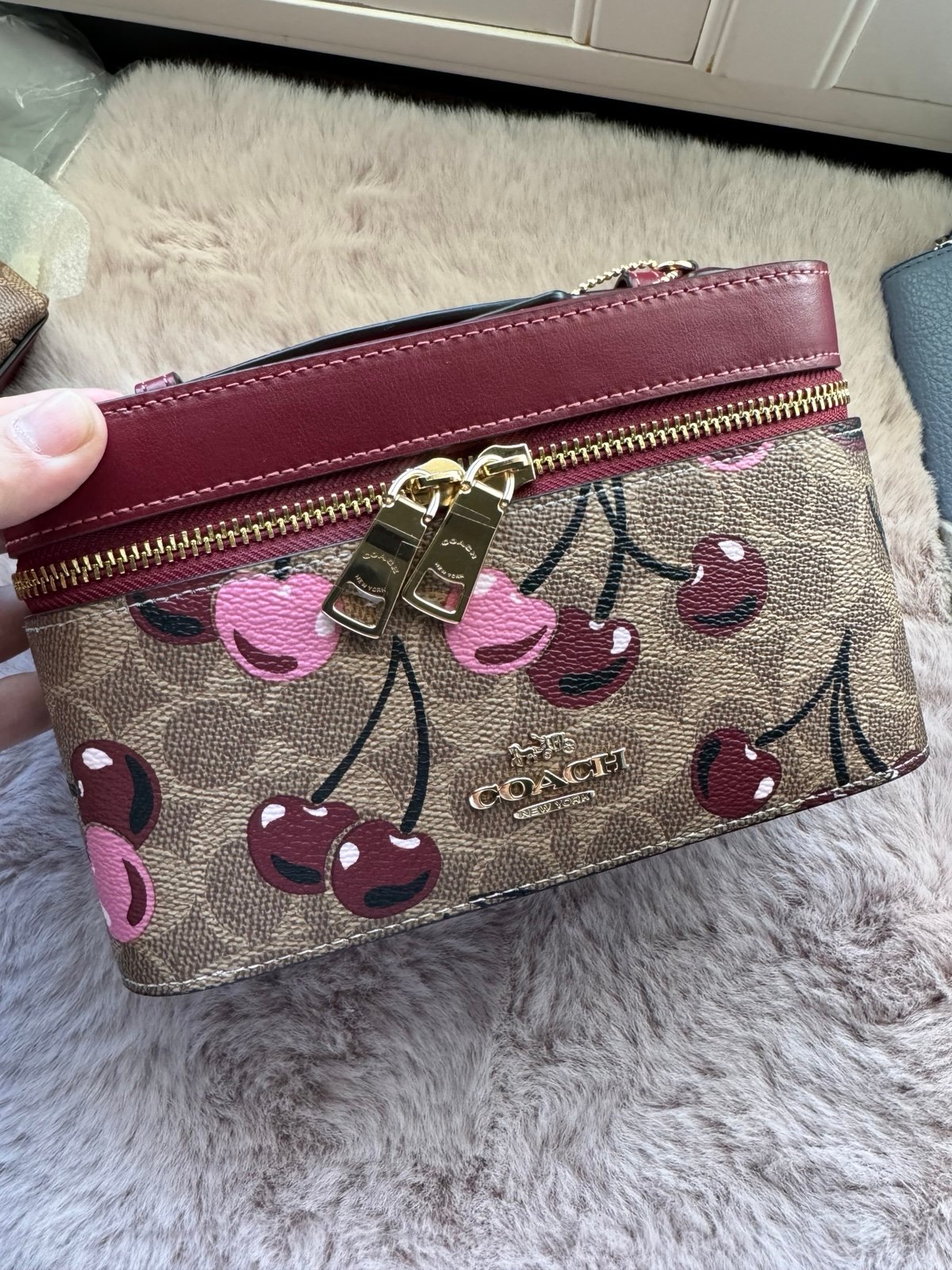 【一部予約！】 NWT Cherry With Canvas Signature In Case Cosmetic Coach 小物