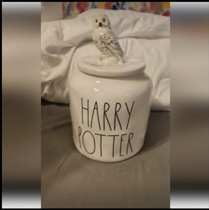NEW Rae Dunn HARRY POTTER Large chubby canister with Hedwig topper