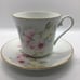 Jason Works Nanrich Pottery Fine Bone China Tea Cup & Saucer England Dogwood