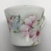 Jason Works Nanrich Pottery Fine Bone China Tea Cup & Saucer England Dogwood
