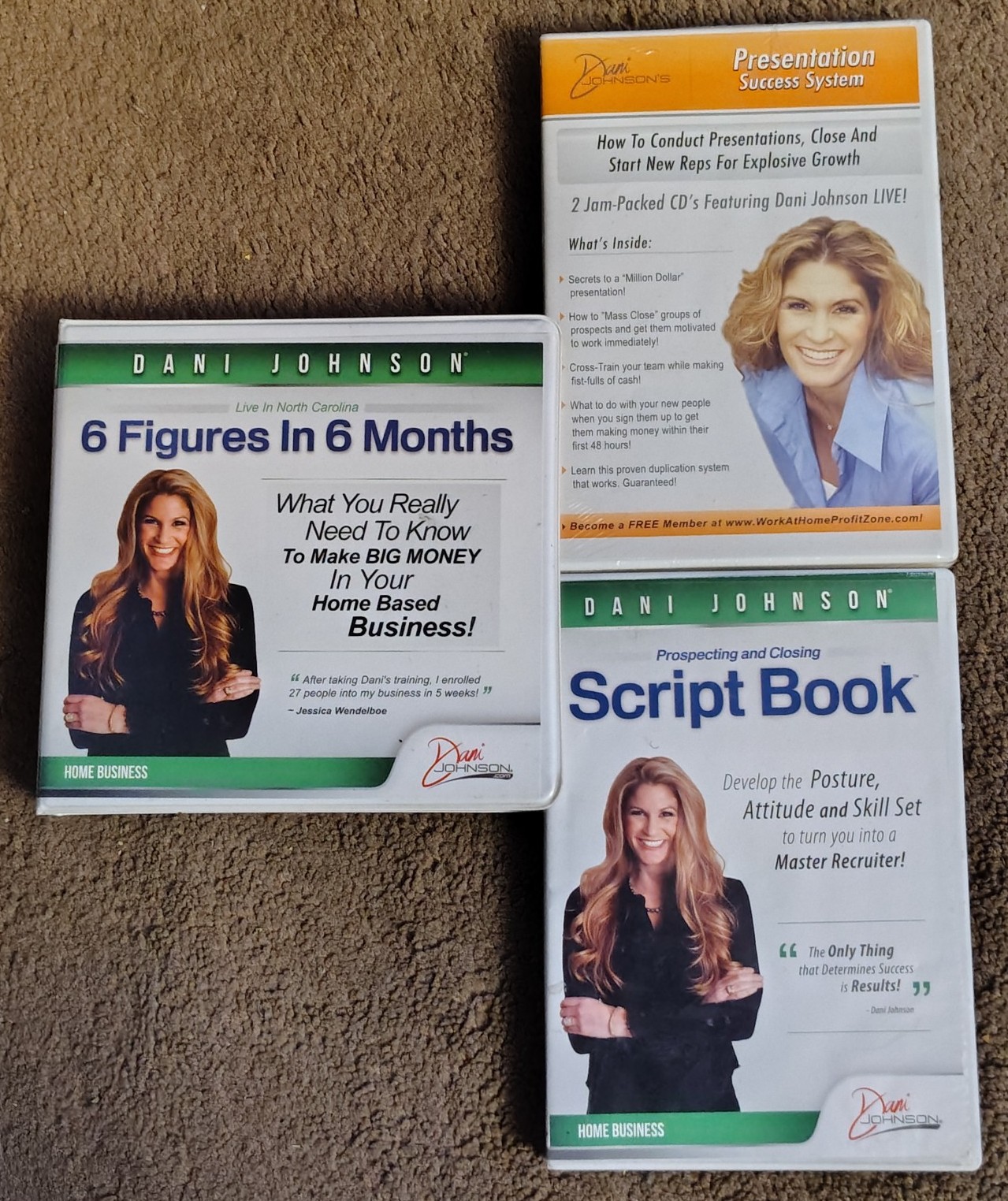 DANI JOHNSON TRIO - HELP FOR YOUR HOME BASED BUSINESS (15 CDS)