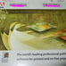 Adobe Pagemaker 6.5 Edu Version - PC GUC