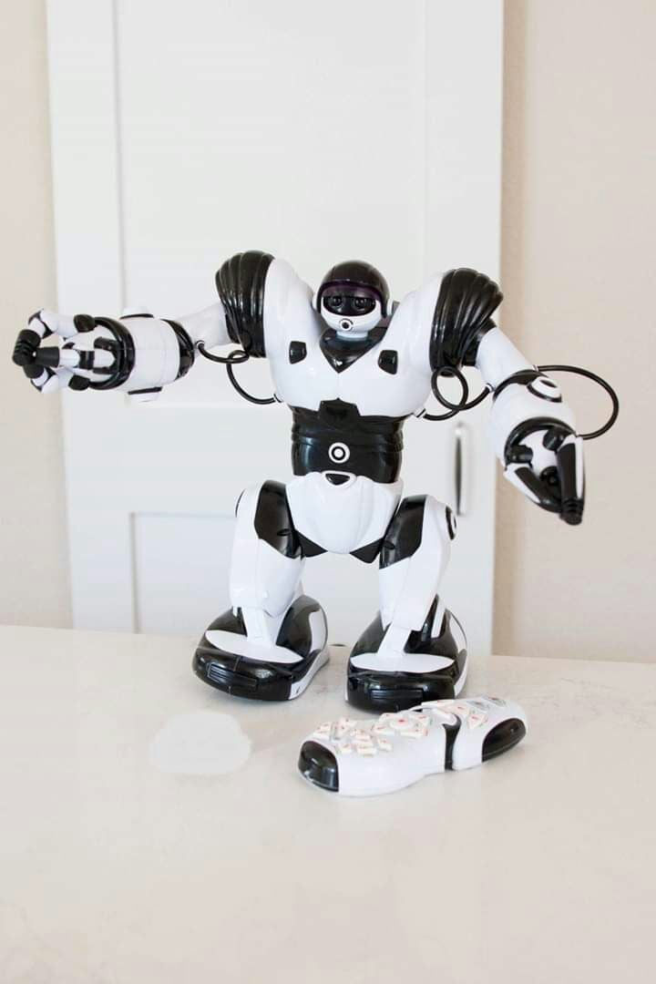 Robosapien Wowee Robot