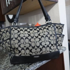 Vintage Coach Bag