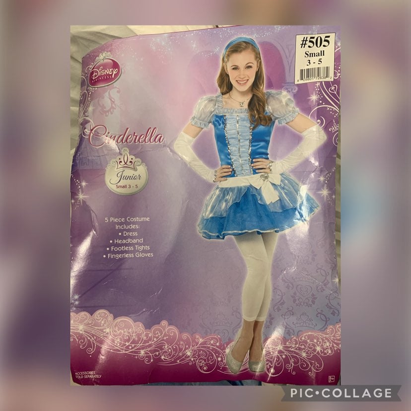 CostumeCinderella Disney costume