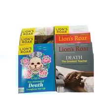 Lot of 6 Lion’s Roar (Nov2017, Jan20, March21, Nov21, July23, Nov23)