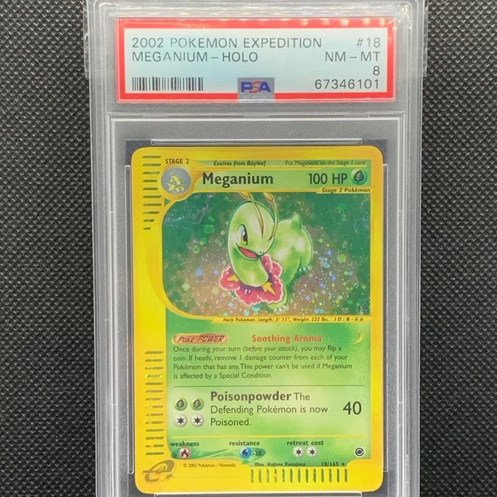 Pokemon Expedition Meganium Holo PSA 8