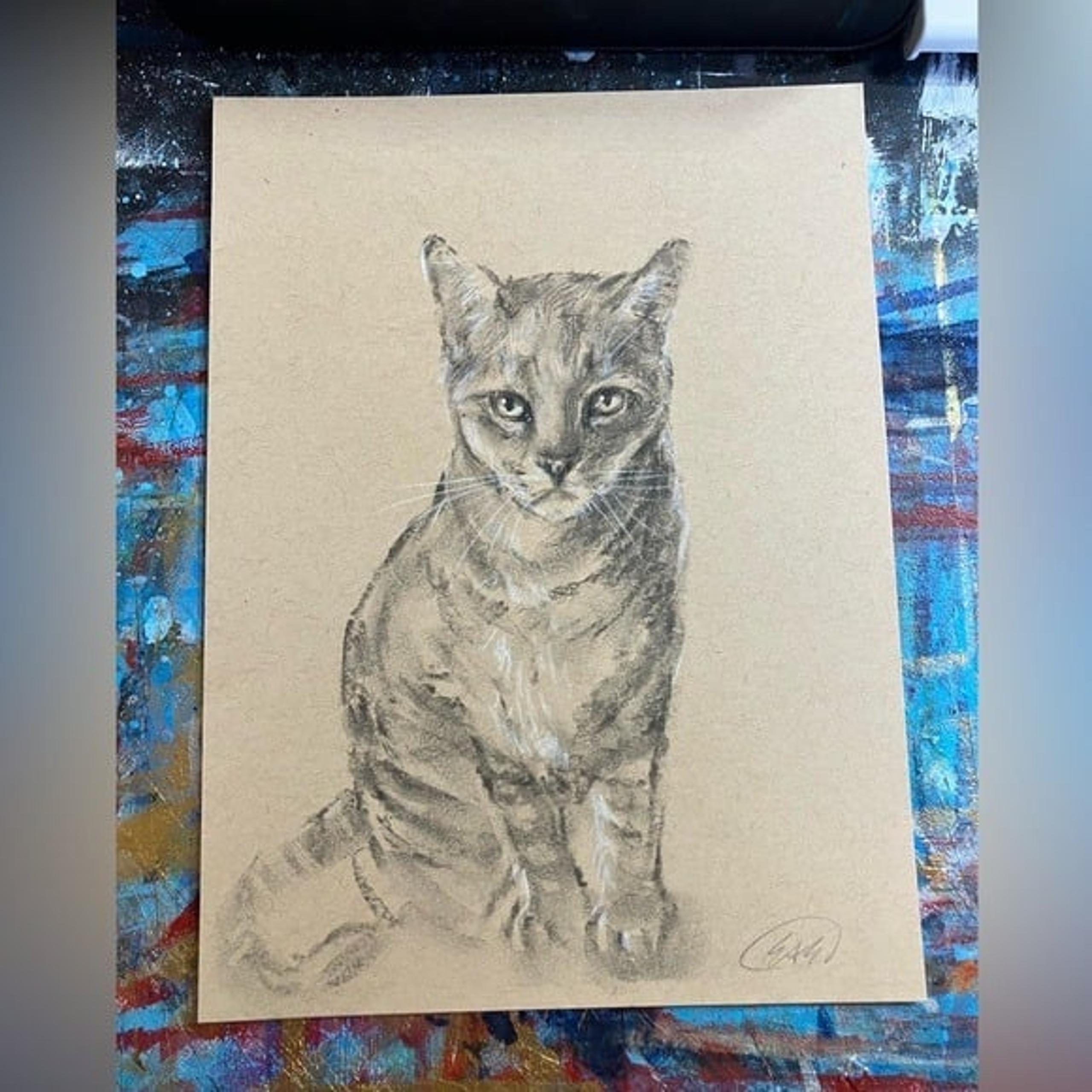 Original painting Cat portrait handmade art pastel charcoal home decor artwork