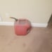 6 GALLON GAL RUBBERMAID VENTED GAS CAN FUEL PLASTIC