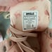 Impala quad skate Rose gold holographic roller skates size 8 with original box