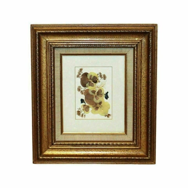 Vintage Pressed Flowers Matted in Golden Frame with Glass & Wall Hanging Cable