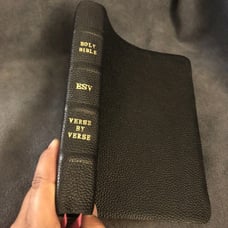 ESV English standard version verse By verse reference Bible cowhide leather