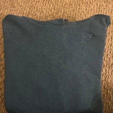 Gymshark rest day hoodie