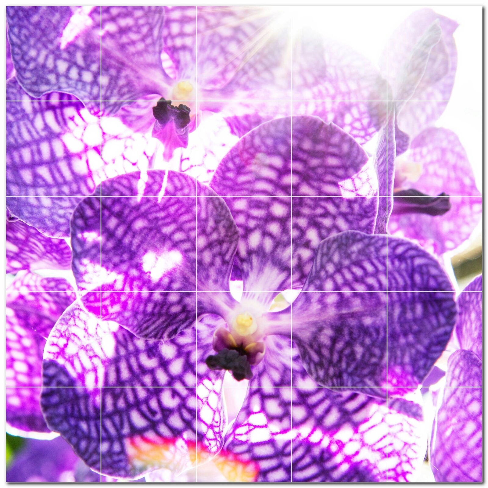 Flowers Ceramic Tile Wall Mural PT500656. 72 W x 48 H (24) 12x12 tiles