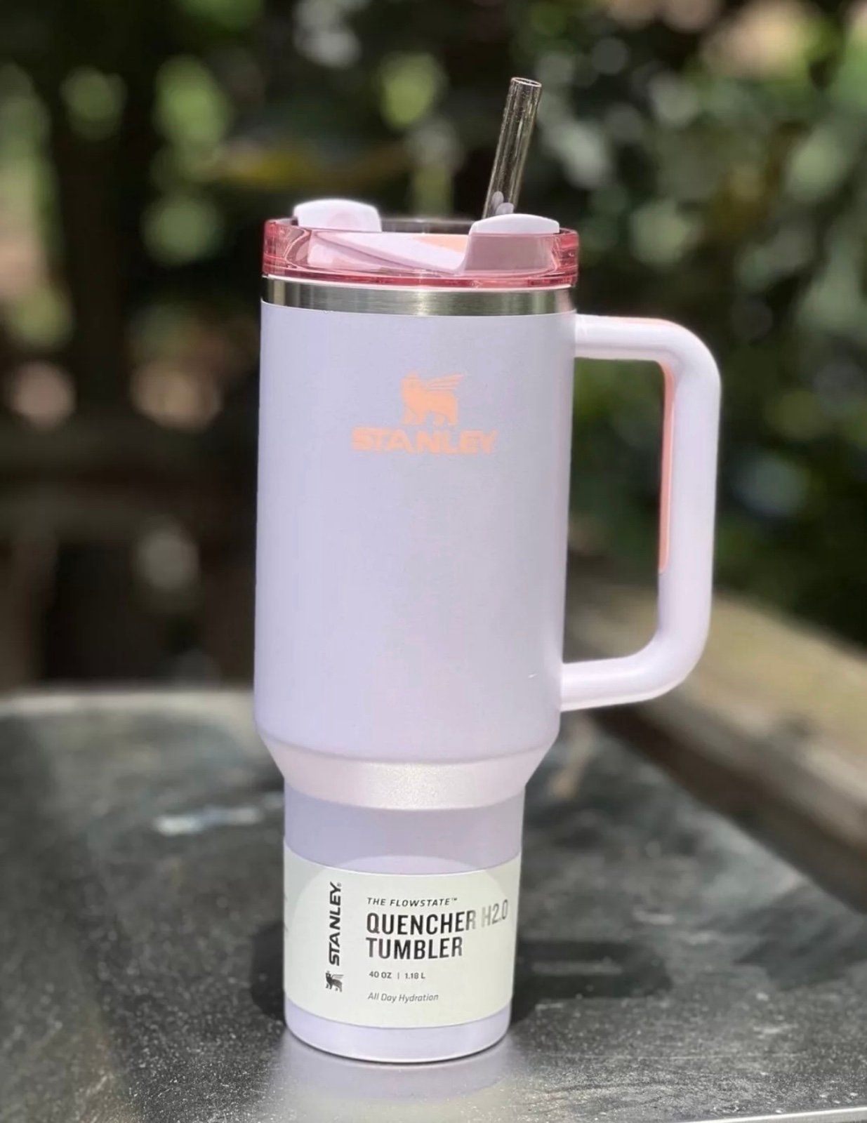 FREE SHIP NWT 40oz Orchid Glimmer Nordstrom exclusive