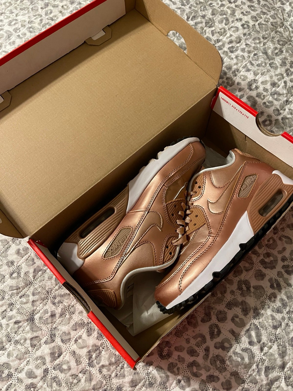 Nike Air Max