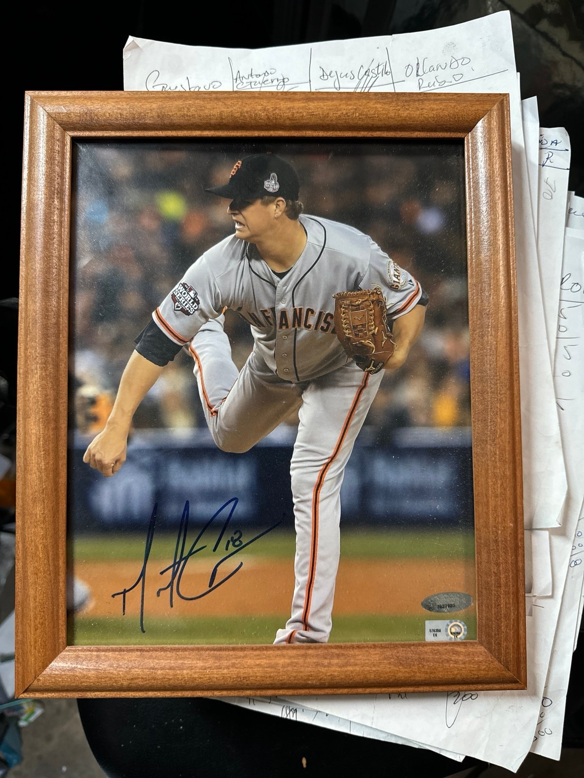 Matt Cain the Horse / Big sugar autograph framed authentic pic