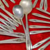Silver Tulip Silverplate Flatware by International Silver Floral 37 Piece Lot