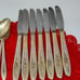 Silver Tulip Silverplate Flatware by International Silver Floral 37 Piece Lot