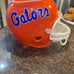 Florida Gators NCAA Chip Dip