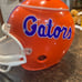 Florida Gators NCAA Chip Dip