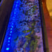Aquarium Light, 14W 24/7 Natural Mode - Sunrise/Daylight/Moonlight Mode