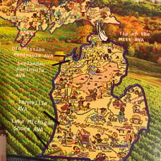 Michigan Wine Puzzle White Mountain