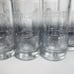 NEW ~ 12 ~ Sobieski Vodka Shot Glasses Embossed Crowned Lion Logo & Name New in