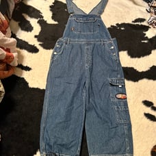 Vintage Winnie the Pooh overalls