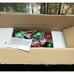 17 Ornament Wreath by Valerie Parr Hill QVC Christmas Ball Brand New! NIB
