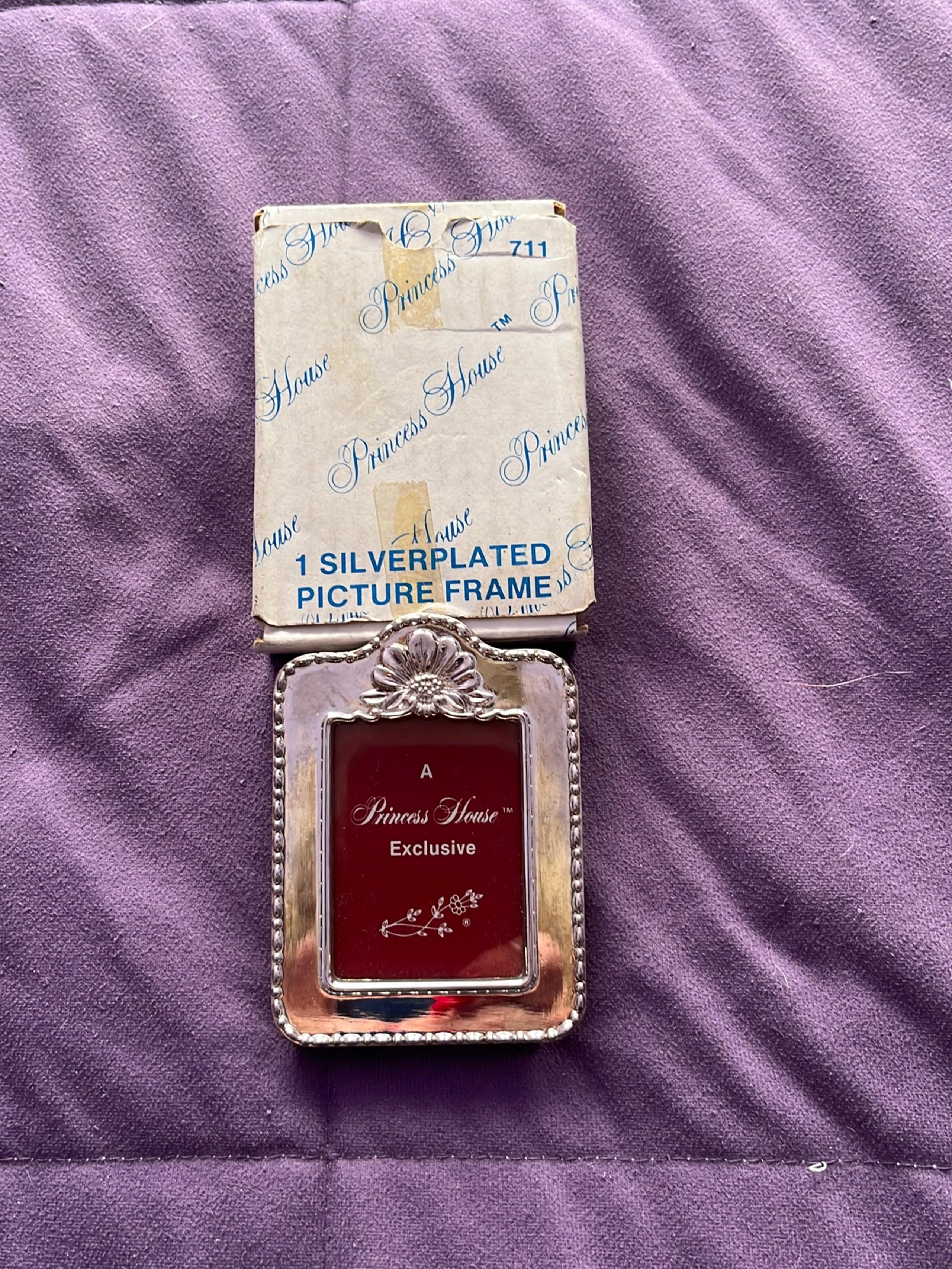 Princess House picture frame