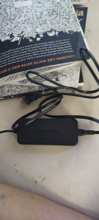 Segway ninebot charger