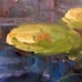 Original Oil Painting on Canvas ITALIAN GARDEN LILY POND Signed Framed