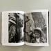 Emmanuel Honorato Vazquez In Modernista en Los Andes Hardcover